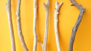 画像3: 小枝流木セット