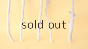 画像2: 小枝流木セット