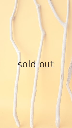 画像5: 小枝流木セット