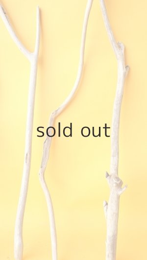 画像6: 小枝流木セット