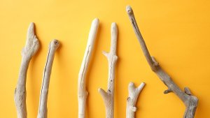 画像4: 小枝流木セット