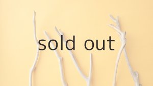 画像4: 小枝流木セット