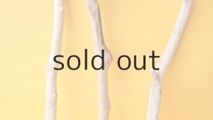 画像3: 小枝流木セット