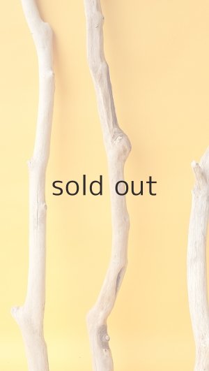 画像5: 小枝流木セット