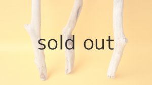 画像2: 小枝流木セット