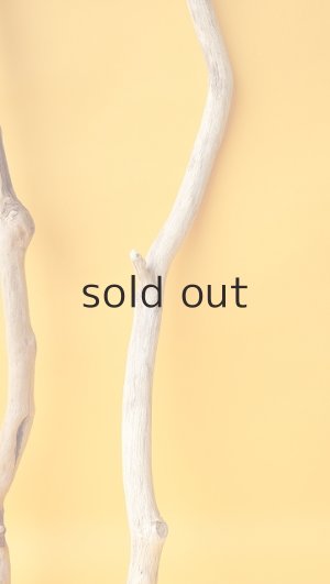 画像6: 小枝流木セット