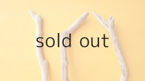 画像4: 小枝流木セット