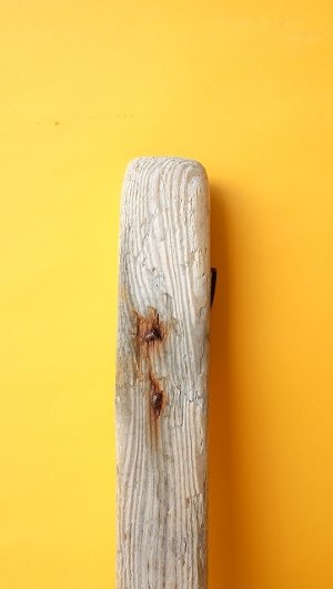 画像4: 板流木