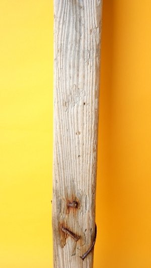 画像3: 板流木