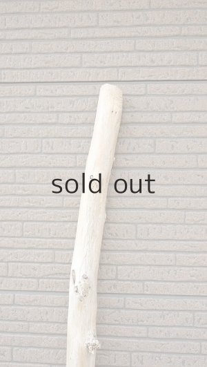 画像5: 幹流木・長尺