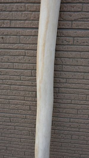 画像3: 幹流木・長尺