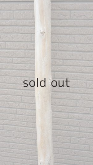 画像3: 幹流木・長尺