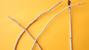 画像4: 棒流木セット