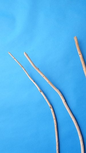 画像4: 棒流木セット