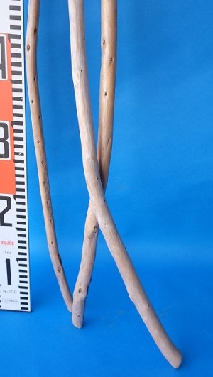 画像5: 棒流木セット