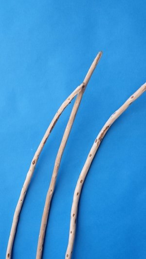 画像4: 棒流木セット