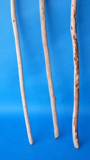 画像2: 棒流木セット