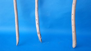 画像2: 棒流木セット