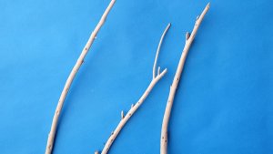 画像4: 棒流木セット