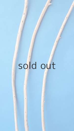 画像3: 棒流木セット