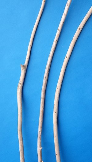 画像3: 棒流木セット