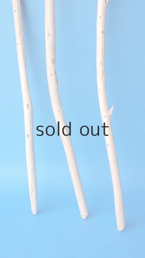 画像2: 棒流木セット