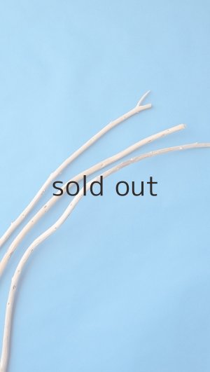 画像4: 棒流木セット