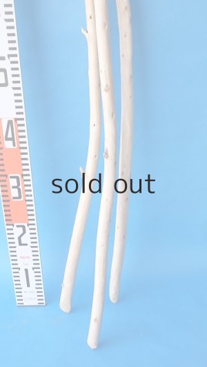 画像5: 棒流木セット