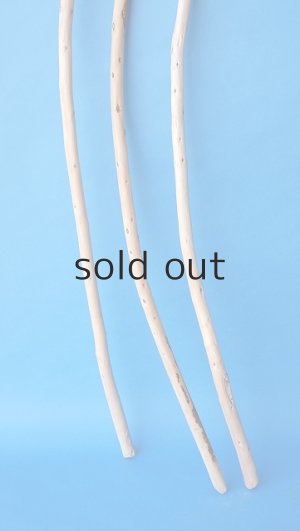 画像2: 棒流木セット