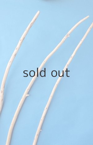 画像4: 棒流木セット