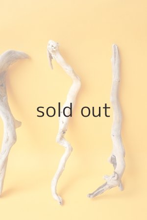 画像3: 流木根セット