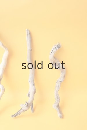 画像4: 流木根セット