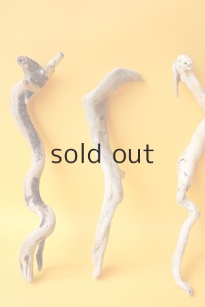 画像2: 流木根セット