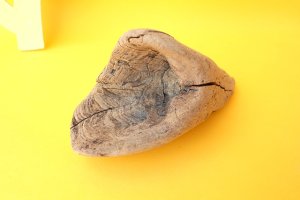 画像3: 変形流木