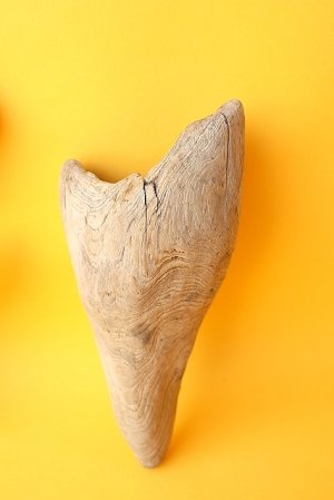 画像2: 変形流木