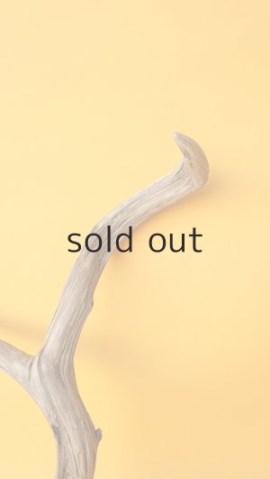 画像3: 小枝流木