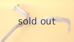 画像6: 小枝流木