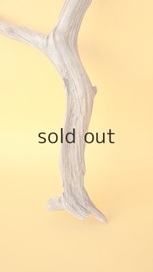 画像2: 小枝流木