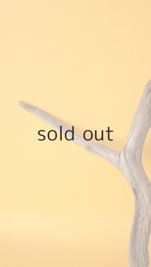 画像4: 小枝流木