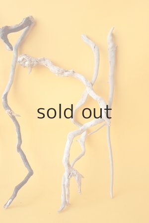 画像4: 流木根セット