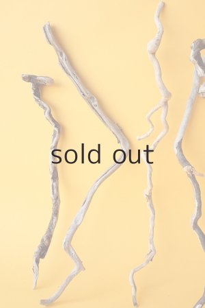 画像2: 流木根セット