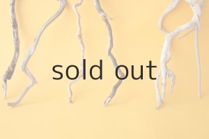 画像5: 流木根セット