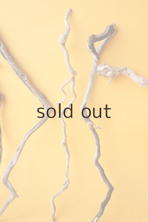 画像3: 流木根セット