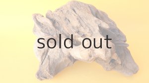 画像5: 変形流木