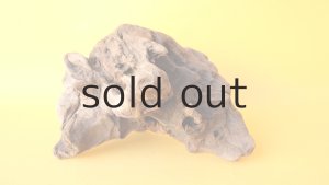 画像4: 変形流木