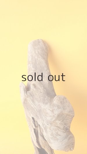 画像3: 変形流木