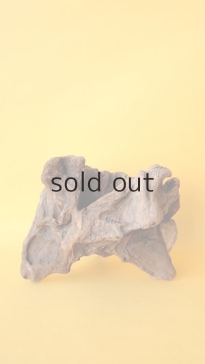 画像2: 変形流木