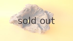 画像3: 変形流木