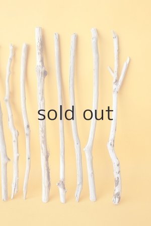 画像4: 小枝流木セット