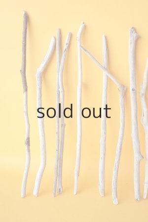 画像2: 小枝流木セット